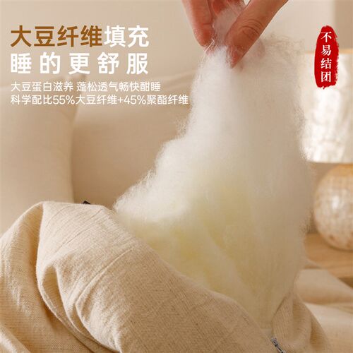 2025新款A类母婴级大豆纤维被子被芯双人加厚保暖秋冬被200x230cm
