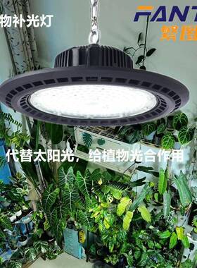 大棚植物补光室内月季绣仿球绿植多肉EEA花卉太全光谱植物灯生阳