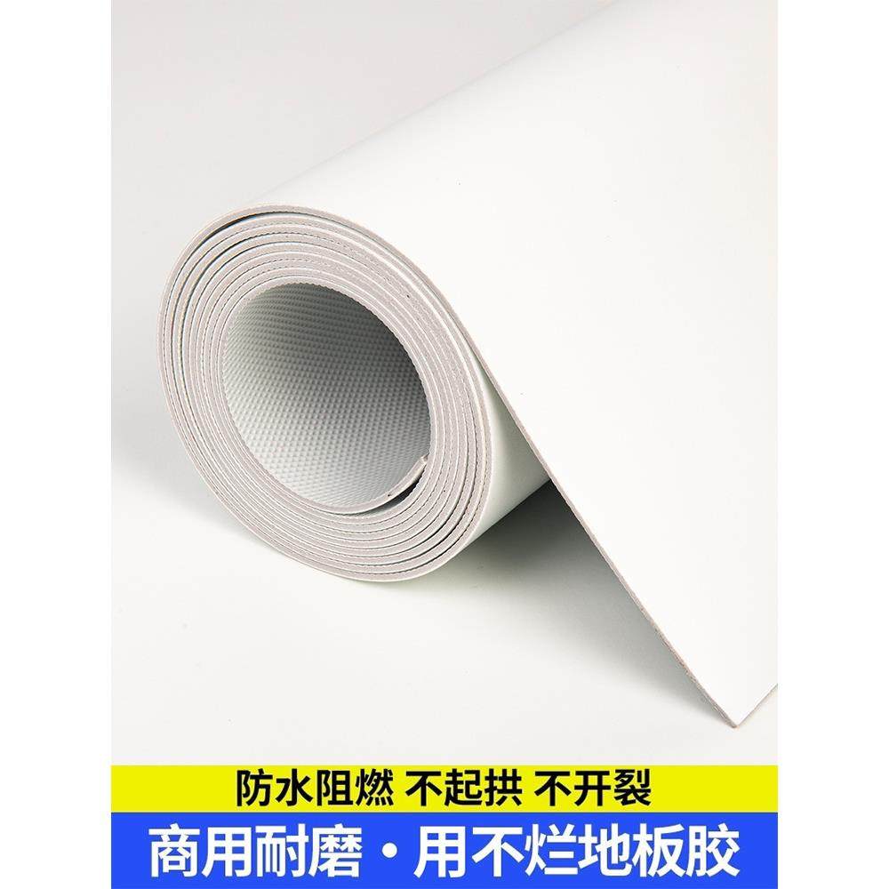 白色摄影棚办防地毯加厚商用公姚硕0829水防滑免洗可pvc地擦垫大