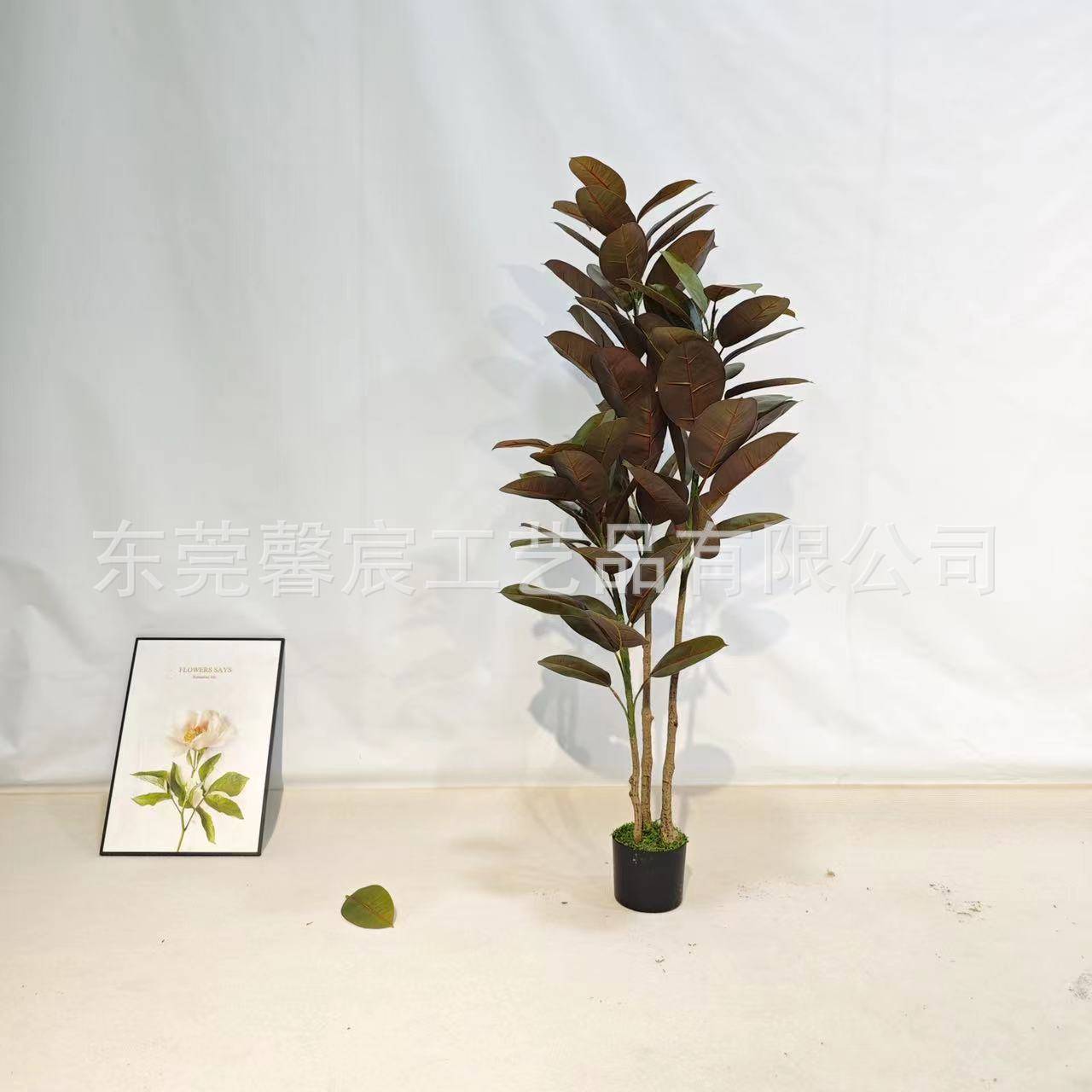 橡树叶室内造景装饰假绿植热带植物盆栽拍照 环创森系装饰