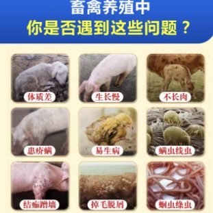 家驱虫内外鸡内外体羊植物天然原料兽鹅饲料净鸭牛驱虫用猪禽