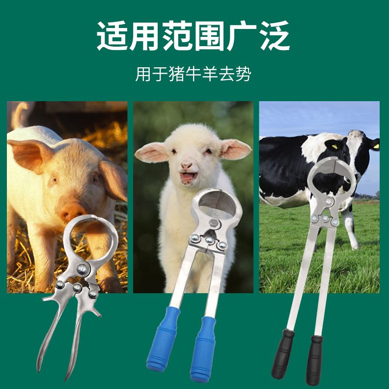 牛用去羊蛋钳钳无去器羊钳钳阉割猪势夹子煽钳去夹钢血碳势势羊