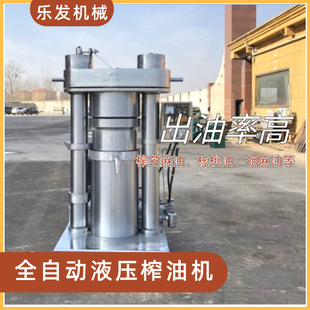 油厂生产线炸油机商用46斤大型压油机全自动芝麻核桃液压榨油机
