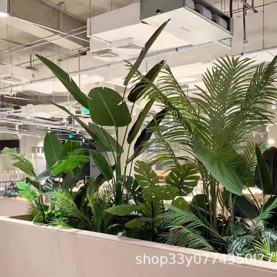 仿成都组真绿植造景装6465合室内景观橱窗饰绿墙微景观效果图落地