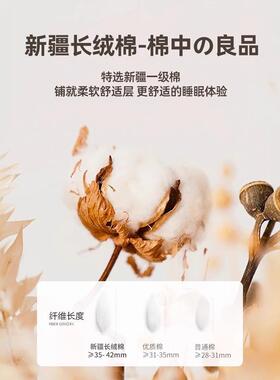 棉花床垫床软垫家用卧榻榻室学米生宿舍单人BLM褥垫租房褥子铺底