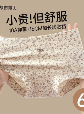 都市丽人平角内裤女纯棉全棉抗菌加长裆中高腰新款少女生四角短裤