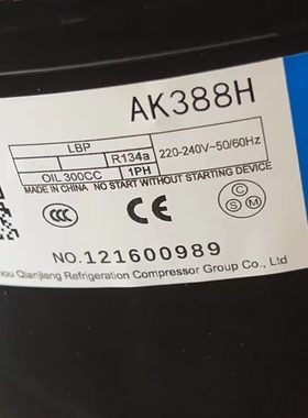 H4QR全新65Q冰柜HD111万/全新00DD11DQ压缩机胜13Y/9冰箱压缩机YQ