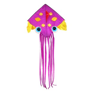 西安潍坊风筝 初学者好放 新款筒子八爪章鱼风筝 儿童成人大风筝