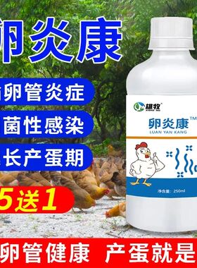 鸽子卵炎康鸡鸭鹅禽用蛋鸡输卵管炎血壳蛋鸽子不下蛋Y砂皮蛋软壳