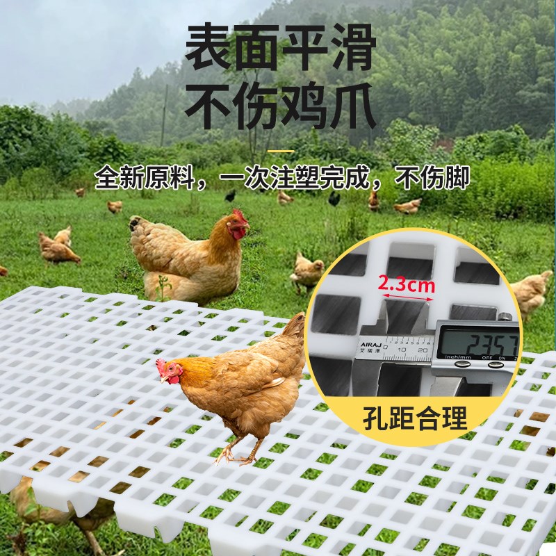 加厚鸡用漏粪板塑料家禽漏粪网格板鸡鸭鹅漏屎地垫养殖鸽子漏屎板
