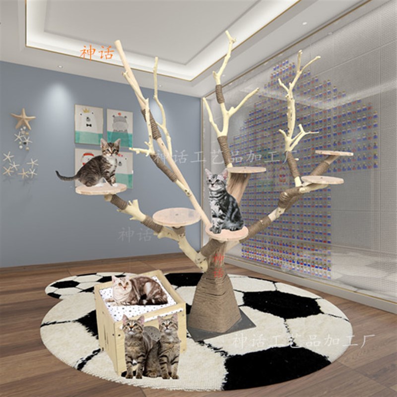 猫爬架耐磨不粘毛枯树干实木猫架大型猫树网红猫爬树宠物跳台一体