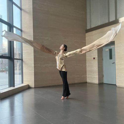 古典舞水袖舞蹈练功服京剧目专业表演出身韵基训练功北舞男女新款