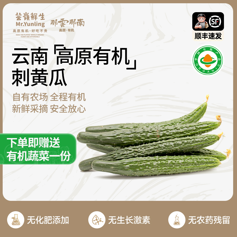 有机刺黄瓜4斤整箱云南新鲜青瓜现摘生吃凉拌应季时令蔬菜自种嫩