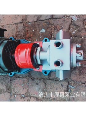 LQB BW型沥青保温泵 小型化工保温齿轮油泵 耐高温 石蜡输送泵