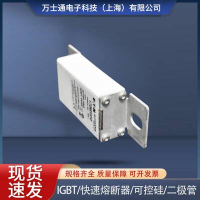 170M1810/1803/1804/1805/1806/1807/1808/1809/1810-熔断器
