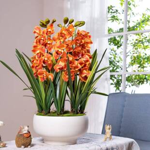 卉假花装饰高档0225新手5wKDL8Zn感蕙兰花假花盆摆设塑料插花客厅