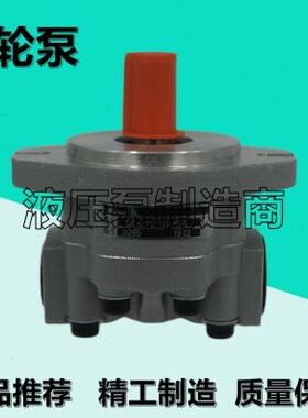 10/20-2013-G--610R5E-55SE25-S-1310/-齿轮泵GA15液压泵-1-51GR-