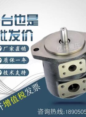 43P111/ / 1A/1东京Q//D 14--叶片泵121/6/12CB78-/5S/10计器15/