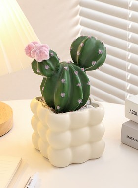 仿真多肉小盆栽仙人球客厅室内仿生绿植办公室桌面工位装饰品摆件