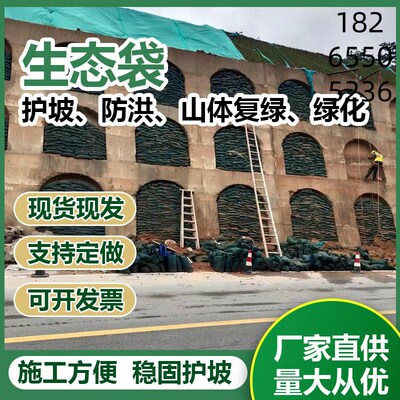 绿色护坡生态袋土工布袋框架梁草籽植生袋生态棒边坡绿化公路防汛