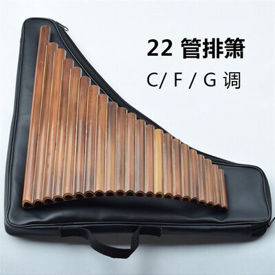 22管排箫 苦竹排笛 民族乐器吹D奏排萧 成人自学初学演奏专业
