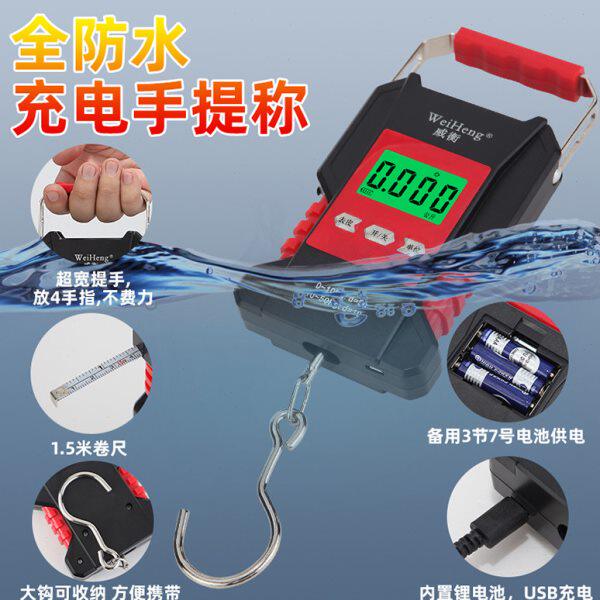 家用手拿手提电子秤防水快递便携式威衡称高精度弹簧迷你小型小秤