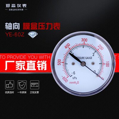轴向膜盒压力表 背式压力表 YE-60Z 6 10 16 25 30 40KPA可本都牌