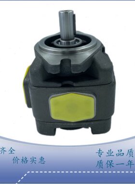 D1-50/2/PW14-O5180/40/10R/R50沃特HG-12//0/25J/VPC16K泵6332/L