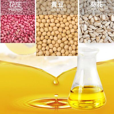 花生压榨核桃家用小型 冷热 机芝麻不锈钢榨油机菜籽油手动榨油机