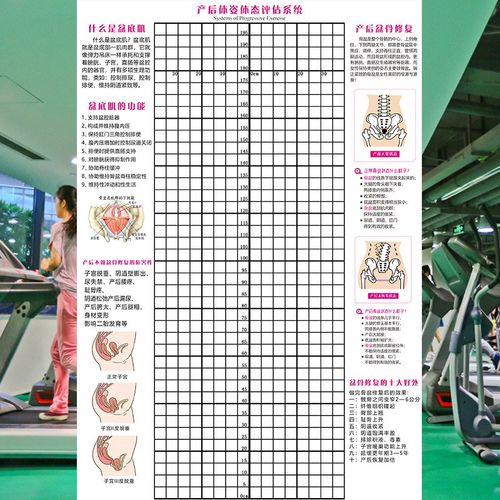 产后体态评估表盆底肌和骨盆修复墙壁画不正常姿势对比矫正体测图