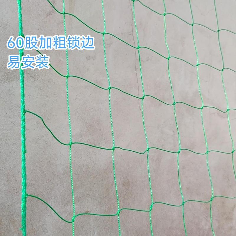 植物防倒植伏网菊花网QRB定植方格网藤蔓藤物网爬网园艺搭架网