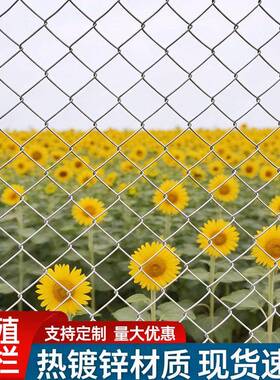 勾网养殖UBO网锌家用园果花围栏栅栏鸡鸭鹅镀勾花网圈地防护勾花