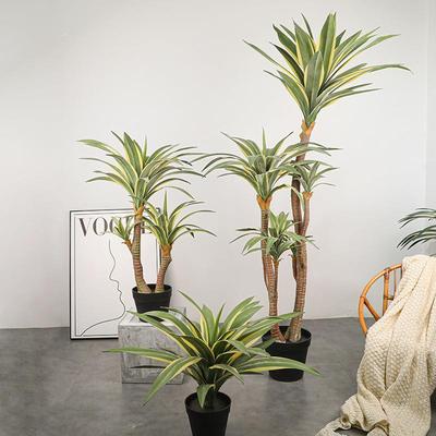 手感软边胶材金龙料舌兰白边黄冠兰仿真植兰物造景绿植WH剑麻剑盆