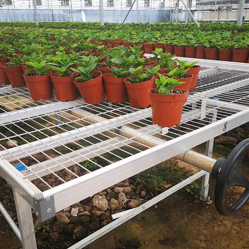可移动热镀锌网片苗床s温室育苗设备固定花架养花网养植物多肉