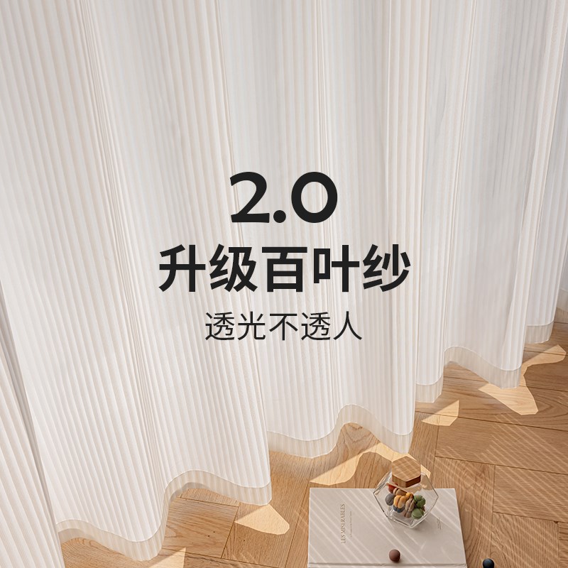 2025新款竖百叶纱帘透光不透人客厅H卧室白纱窗帘阳台飘窗窗纱白