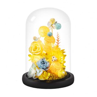 永生花玫瑰创意礼物爱人黄色送女友生日礼物款表白玻璃罩闺蜜道歉