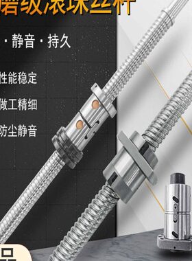 珠516 螺母 D升降丝杆0   200555 2512010套 10滚FU32250机床2010