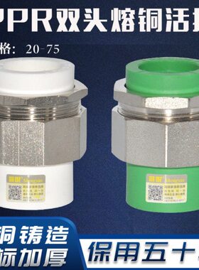熔接头双头热20铜活接 晟悦PPR1寸管件热324分25配件熔水管管材
