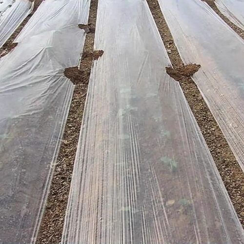 农用种植白色地膜工程保温薄膜蔬菜大蒜地布1/M2米3宽耐拉60公分8