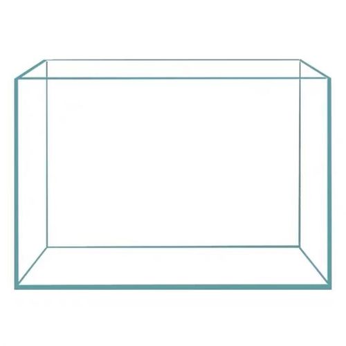 定制专拍金晶五线超白缸溪流缸方缸矮缸水族造景泰狮兰寿生态缸
