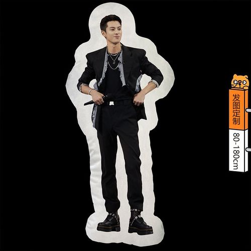 可自定义照片diy定制人脸公仔王鹤棣抱枕人形180订制长条玩偶睡觉