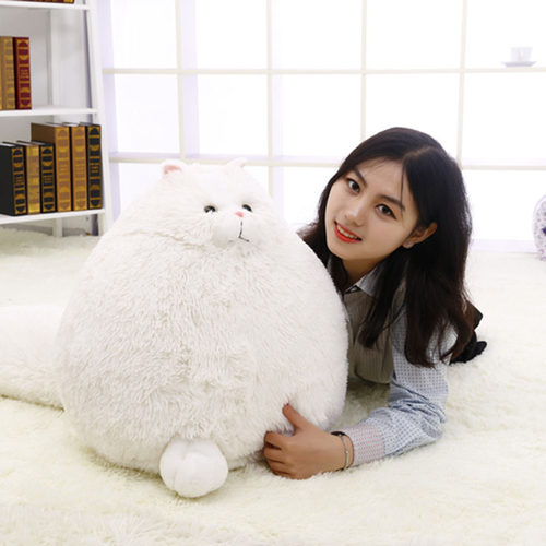韩国可爱波斯猫抱枕公p仔仿真猫咪毛绒玩具女孩抱睡玩偶布娃娃礼