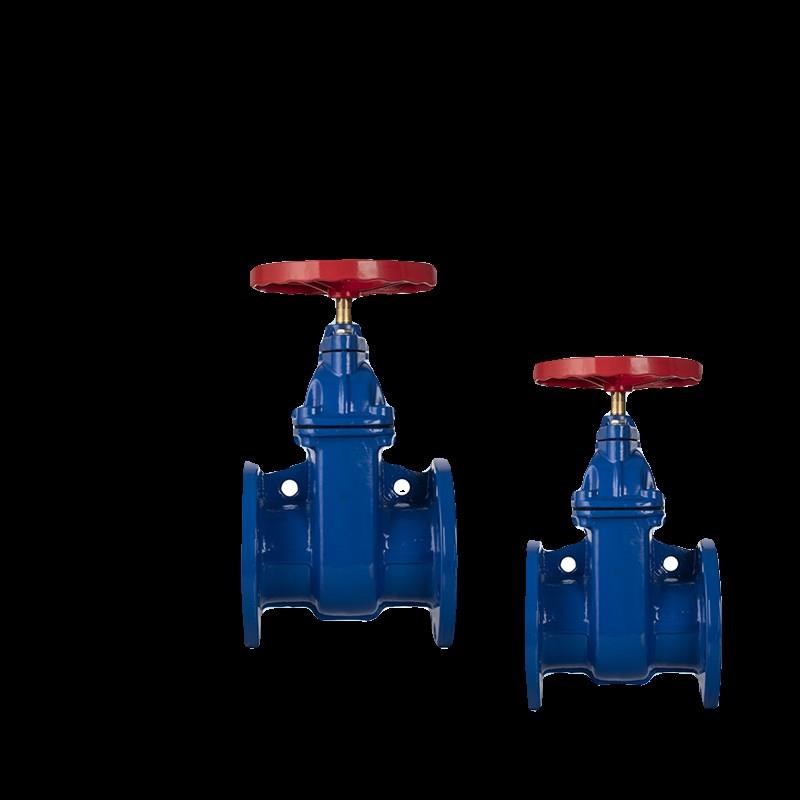 Z45/1T-1h6Q防护闸阀铜芯不锈钢杆硬密封暗明杆法兰闸阀DN8010015