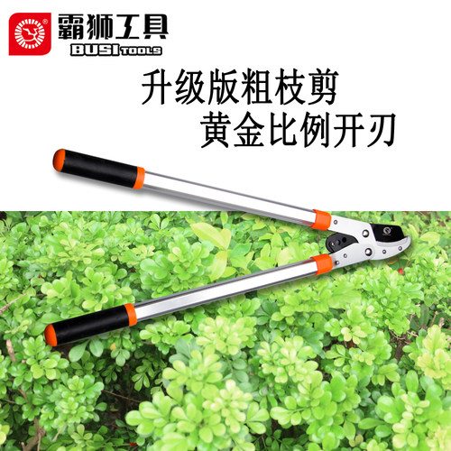 修枝剪树枝专用剪刀o园艺大剪刀果树修枝修剪树枝园林剪刀粗枝剪