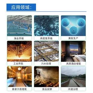 AOP毒羟基自由基氧UWT化基处臭氧发生器泳池水理羟臭氧发生器消机