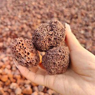 缸火山石颗粒鱼835造景多盆栽绿植植火山石料颗粒铺面拌土肉石火