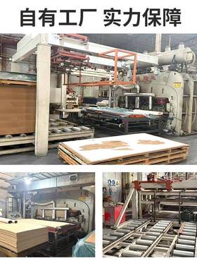 18mm海洋板保防潮生态9板免IBP漆实木环桌面板家居护墙饰板装修面