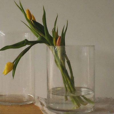 花瓶摆件宽口专用水养马透明木大水培器皿富贵竹插花醉玻璃瓶客厅