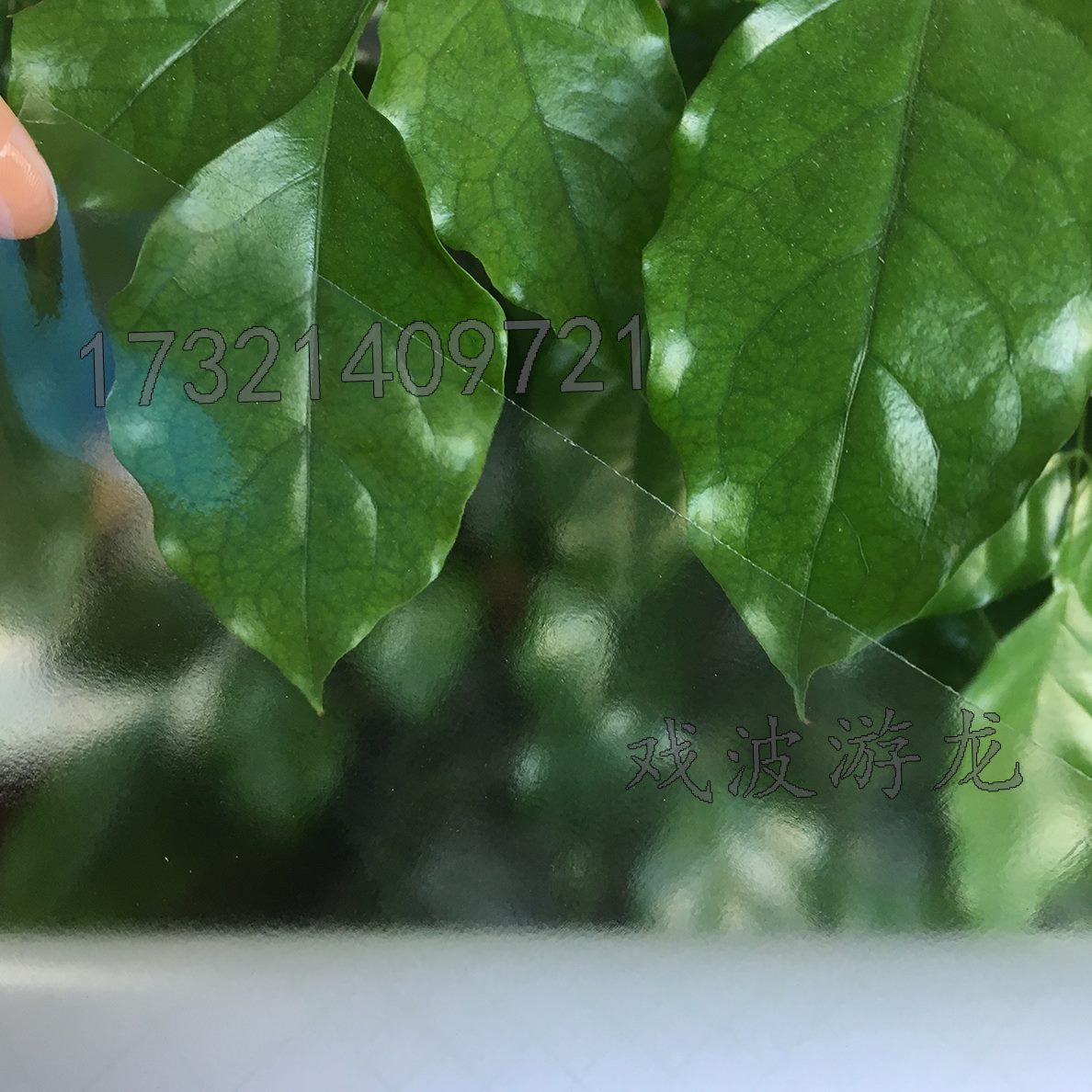 白底克膜 .玻璃膜120米质01膜膜高/冷裱膜广告品14光.079纸写真亮