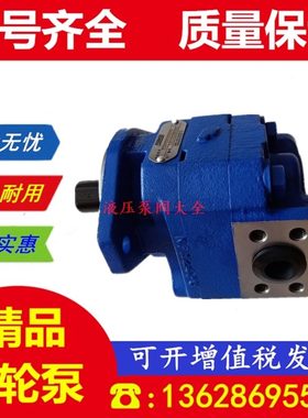 克 煤矿泊姆专用克11原厂 泊姆液压泵液压泵天津06129 210